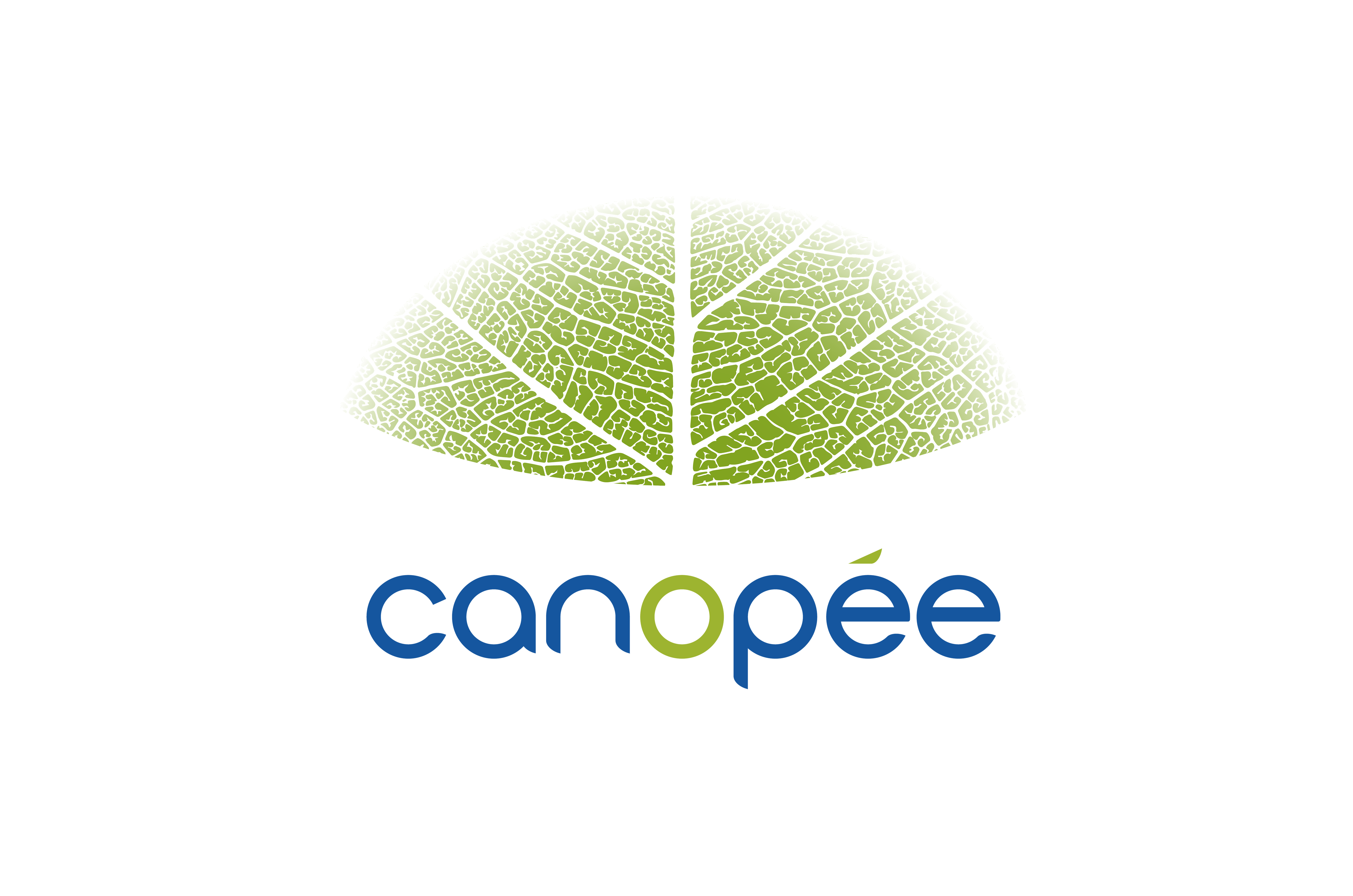 Canopée